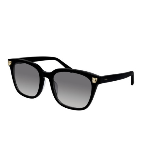 Cartier CT0143SA 001 Noir