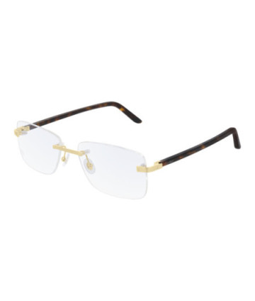 Sunglasses Cartier CT0216OA 003 Gold