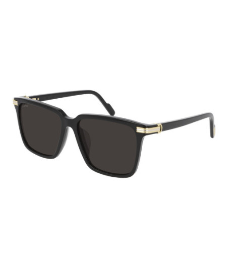 Cartier CT0220SA 001 Noir