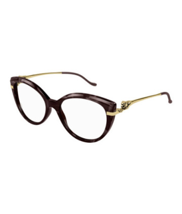 Sunglasses Cartier CT0283O 003 Havana