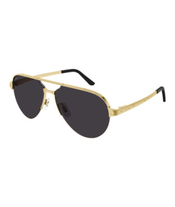 Eyeglasses Cartier CT0386S 001 Gold