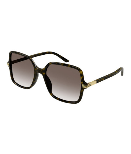 Gucci GG1449S 002 Havana