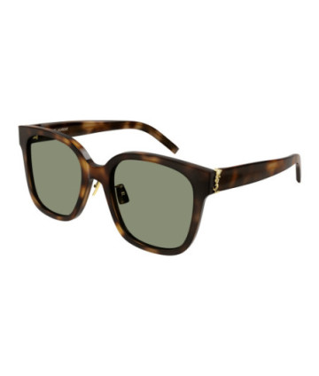 Eyeglasses Saint laurent SL M105/F 003 Havana