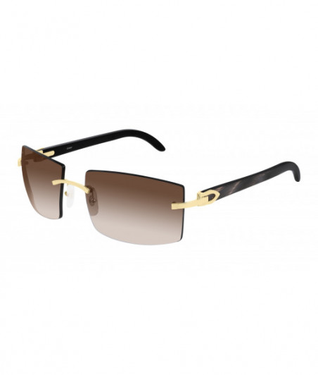 Cartier CT0021RS 001 Gold